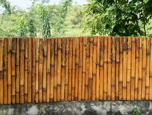 Bamboo Fence