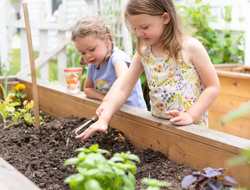 Garden Bed